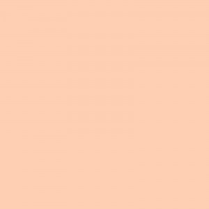 Papel Color Plus - Rosa - Fidji (10UN)