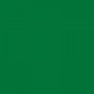 Papel Color Plus - Verde Bandeira - Brasil (10UN)