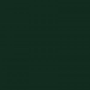 Papel Color Plus - Verde Escuro - Santiago (10UN)